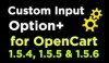 Custom Input Option